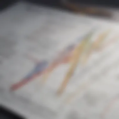 A comparative chart differentiating a company summary from other business plan sections